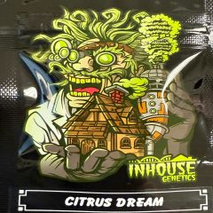 Citrus Dream - 3-pack