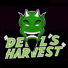 Hell's Bells - 5PACK