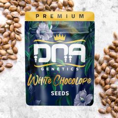 White Chocolope - 5-pack