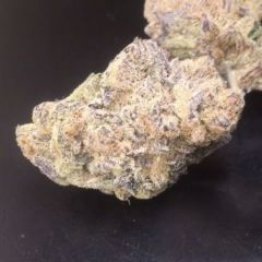 Dream Weaver - 12PACK