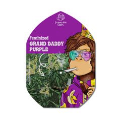Grand Daddy Purple - 5-pack