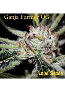 Ganja Farmer OG