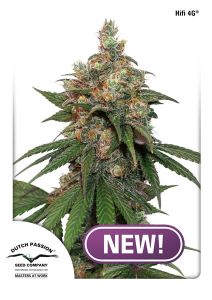 hifi-4g-dutch-passion-amsterdam-seed-center