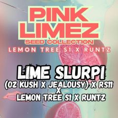 Lime Slurpi - 7-pack