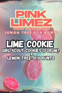 Lime Cookie - 7-pack