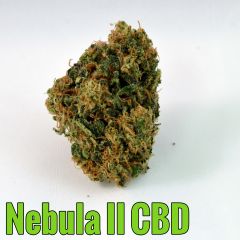 Nebula II CBD