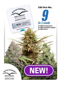 cbd-feminized-mix-9pack-dutch-passion-amsterdam-seed-center