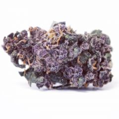 Purple Wreck - 6PACK