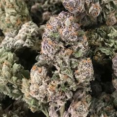 Dark Ghost Train - 12-pack