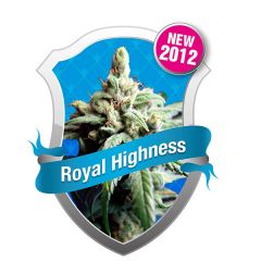 Royal Highness