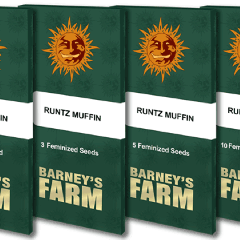 Runtz Muffin - 5-pack