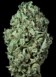 Sour Diesel Auto