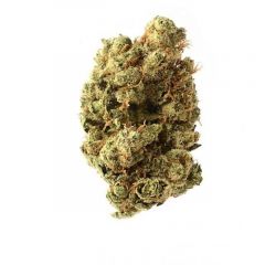 Super Silver Haze - 5PACK