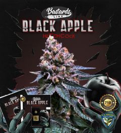 Black Apple Hitchcock - 5PACK