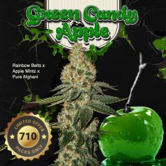 Green Candy Apple - 2-pack