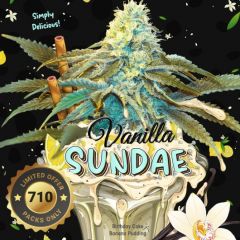 Vanilla Sundae - 5-pack