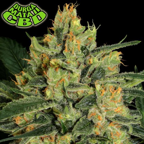 Durga Mata II CBD
