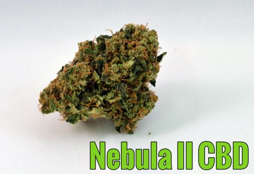 Nebula II CBD