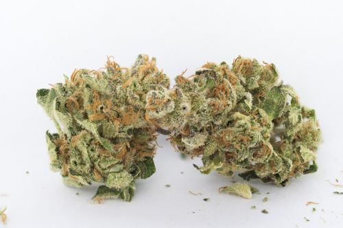 Dank Commander