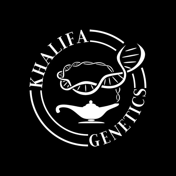 KHALIFA-GENETICS