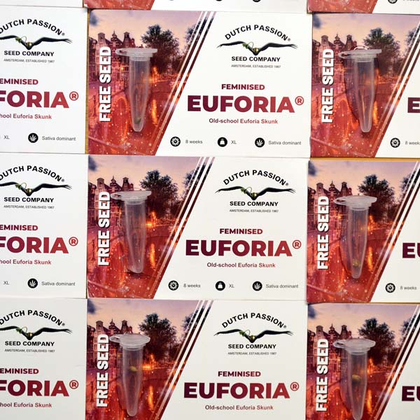 dutch_passion_euforia_promo