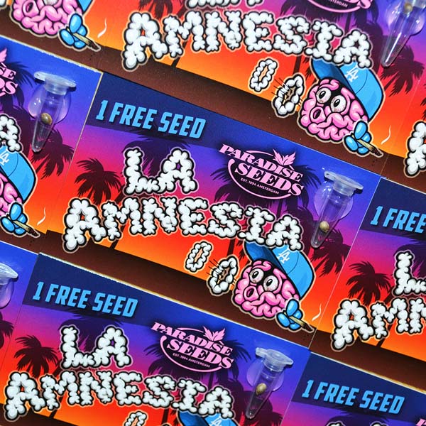 la-amnesia-paradise-seeds-promo