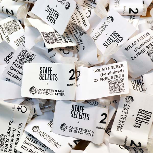 staff-selects-promo-nov-23