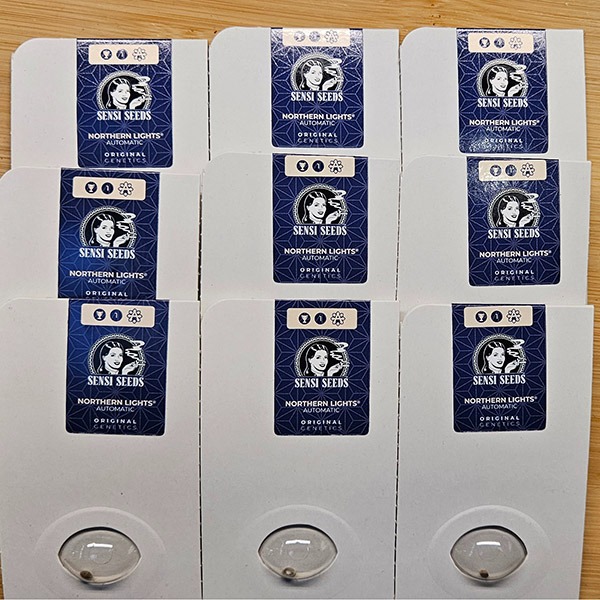 600-Sensi-promo-nov-25