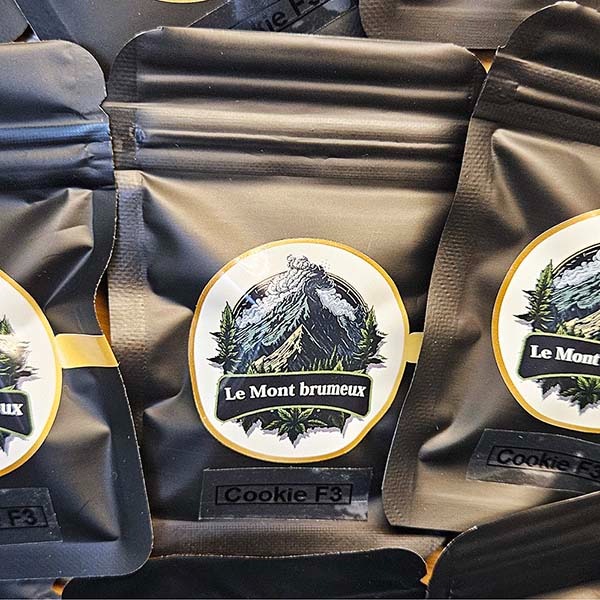 600-le_mont_brumeaux_promo_2025