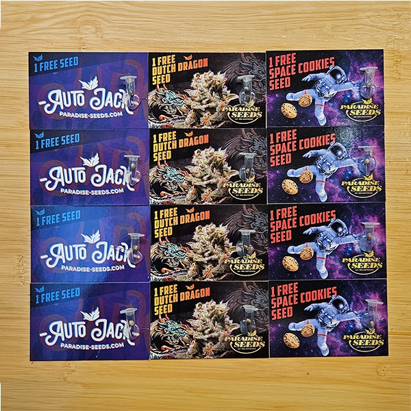 600-paradise-seeds-promo-nov25