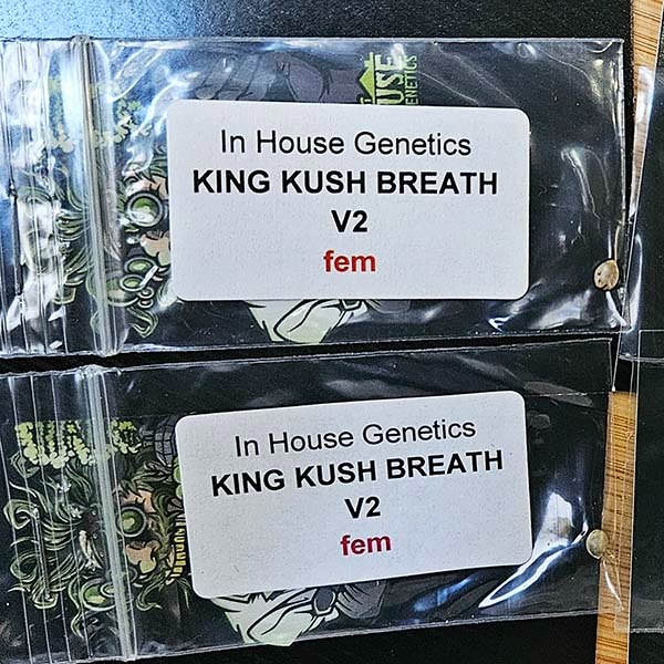 INHOUSE-GENETICS-PROMO-600