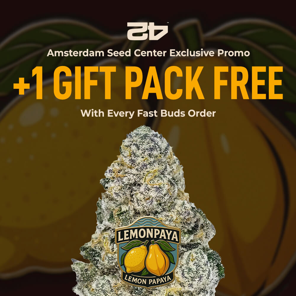 Lemonpaya_1000x1000_1_