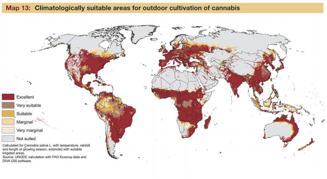 UNDOC Map Cannabis Cultivation