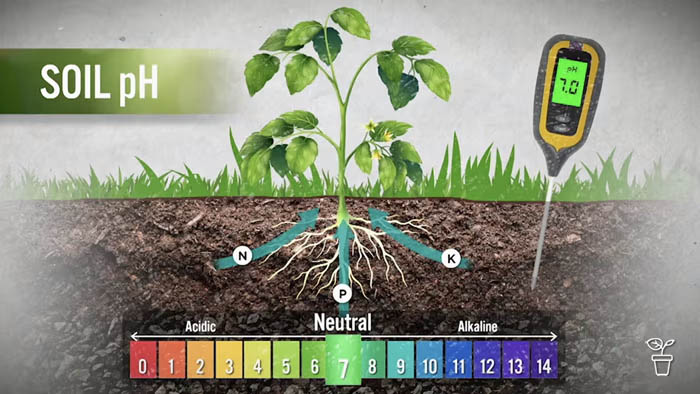 soil-ph