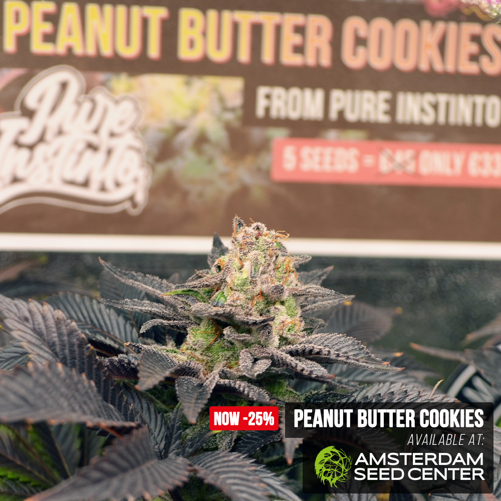 peanut_butter_cookies_week-14.3