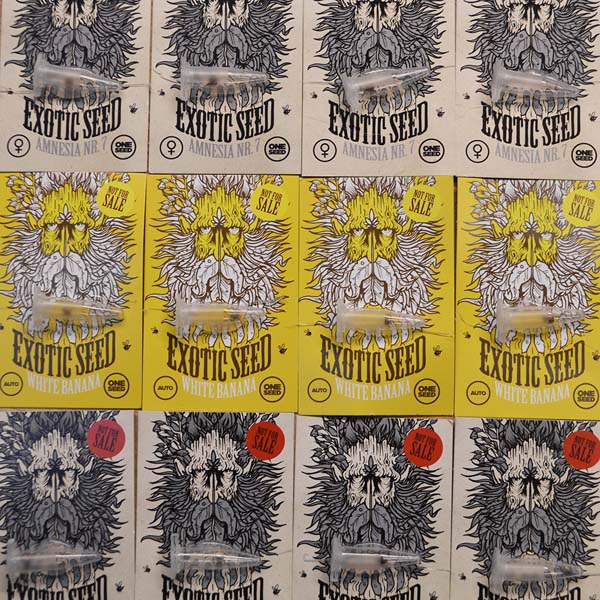 exotic-seed-promo-2023